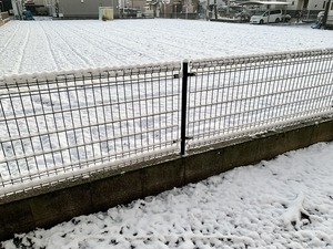 IMG_4079