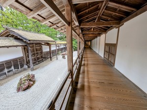 PXL_20240917_054146539-EDIT