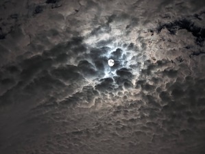 PXL_20231026_091830847.NIGHT (1)