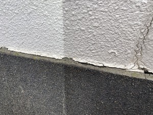 IMG_6103