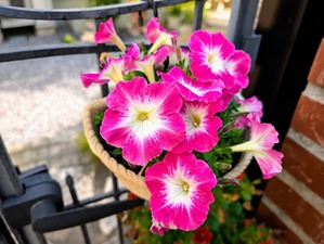 05173