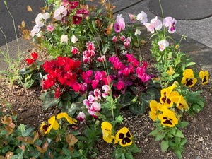 IMG_1351
