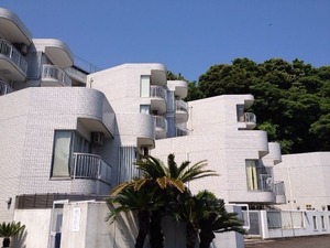 写真 2 (2)