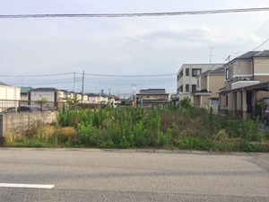 IMG_1973