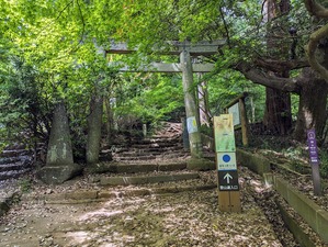 �л�������������ʬ