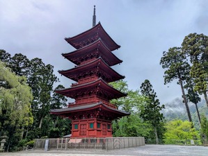 PXL_20250423_030316512~2