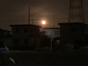 IMG-0743