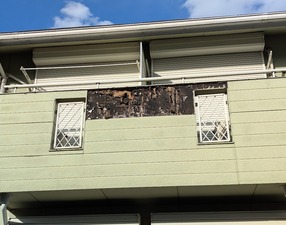 PXL_20250223_064444780