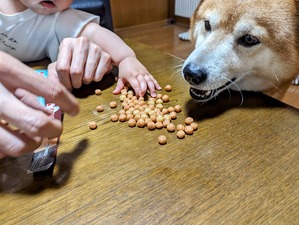 PXL_20240531_075448963-EDIT