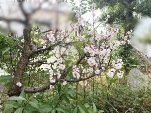IMG_0812 1