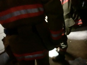 IMG_3390