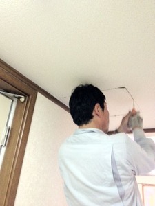 写真 1 (3)