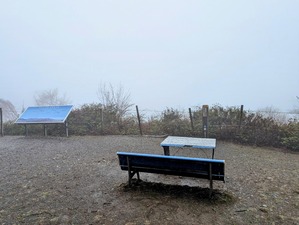 PXL_20250423_053319708~2