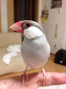 写真 3