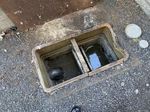 IMG_5135