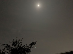 IMG_2555
