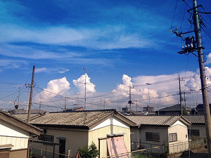 �̿� 1 (5)1_edited-1