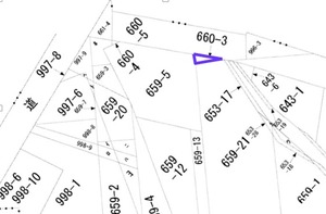 2角度補正現在の公図