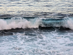 PXL_20231213_064445606