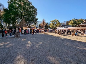 PXL_20230103_025739592_2