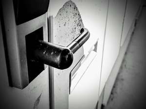 PXL_20230729_072055426-EDIT