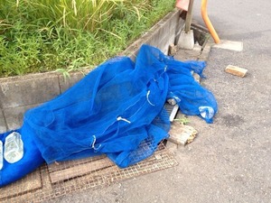写真 2 (5)