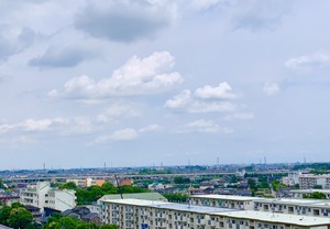 IMG_2029