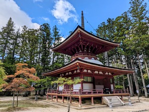 PXL_20240917_061323997-EDIT