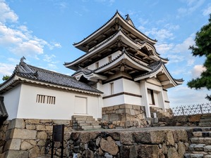 PXL_20231027_220229694-EDIT