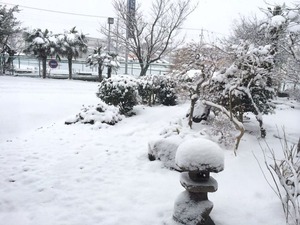 写真 4 (1)