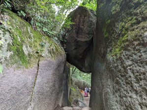 PXL_20230621_023546435
