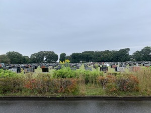 IMG_2240