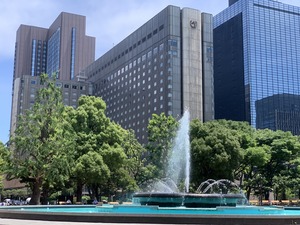 IMG_6317