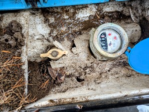 PXL_20250506_045843197~2