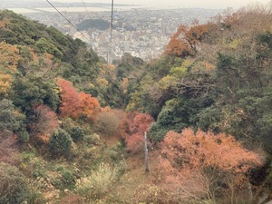 IMG_8500