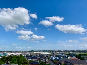 IMG_5439