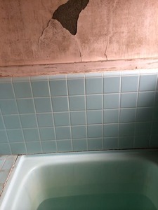 写真 1 (1)