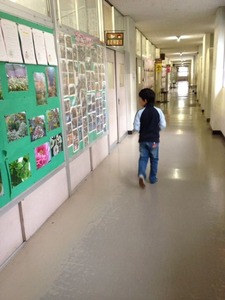 写真 (81)