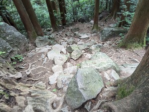 PXL_20230621_045612758