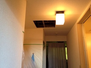 写真 5 (2)