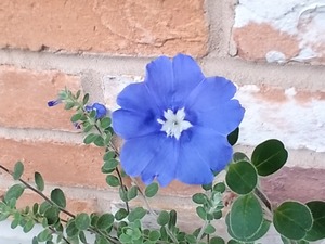 09104