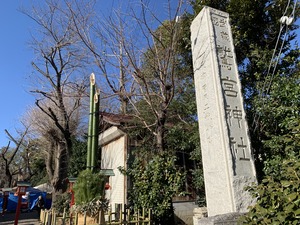 IMG_8916