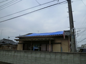 ブルーシート