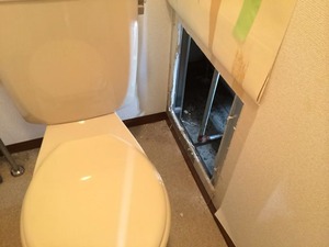 写真 5 (3)