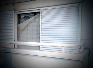 PXL_20230808_043409484