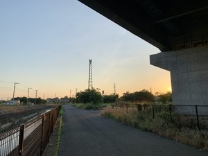 IMG_6306