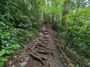 �Ф꣱����