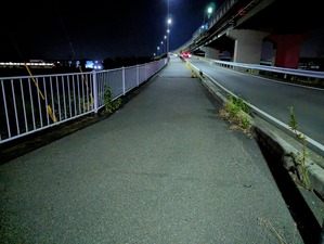 PXL_20230725_131851434~2