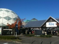 ����դ뤵��¼