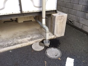 写真 5 (1)